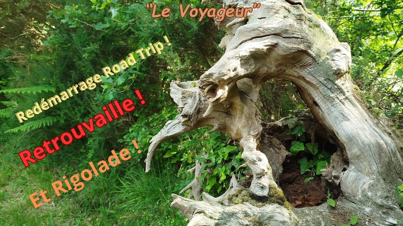 V/40 Redémarrage Road trip / Les retrouvailles