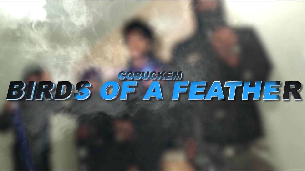 CoBuckEm - Birds Of A Feather (Official Music Video)