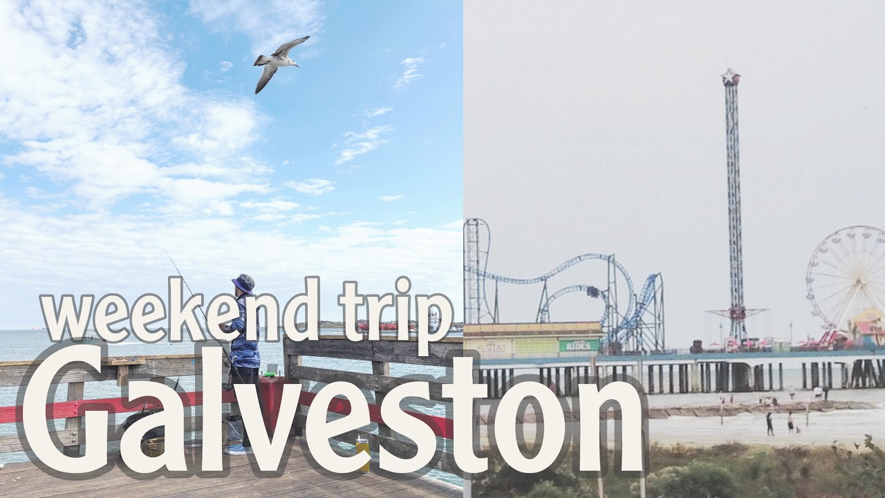 【vlog】テキサス🇺🇸ガルベストン釣り.駐在妻の休日.America. texas.galveston.fishing driving