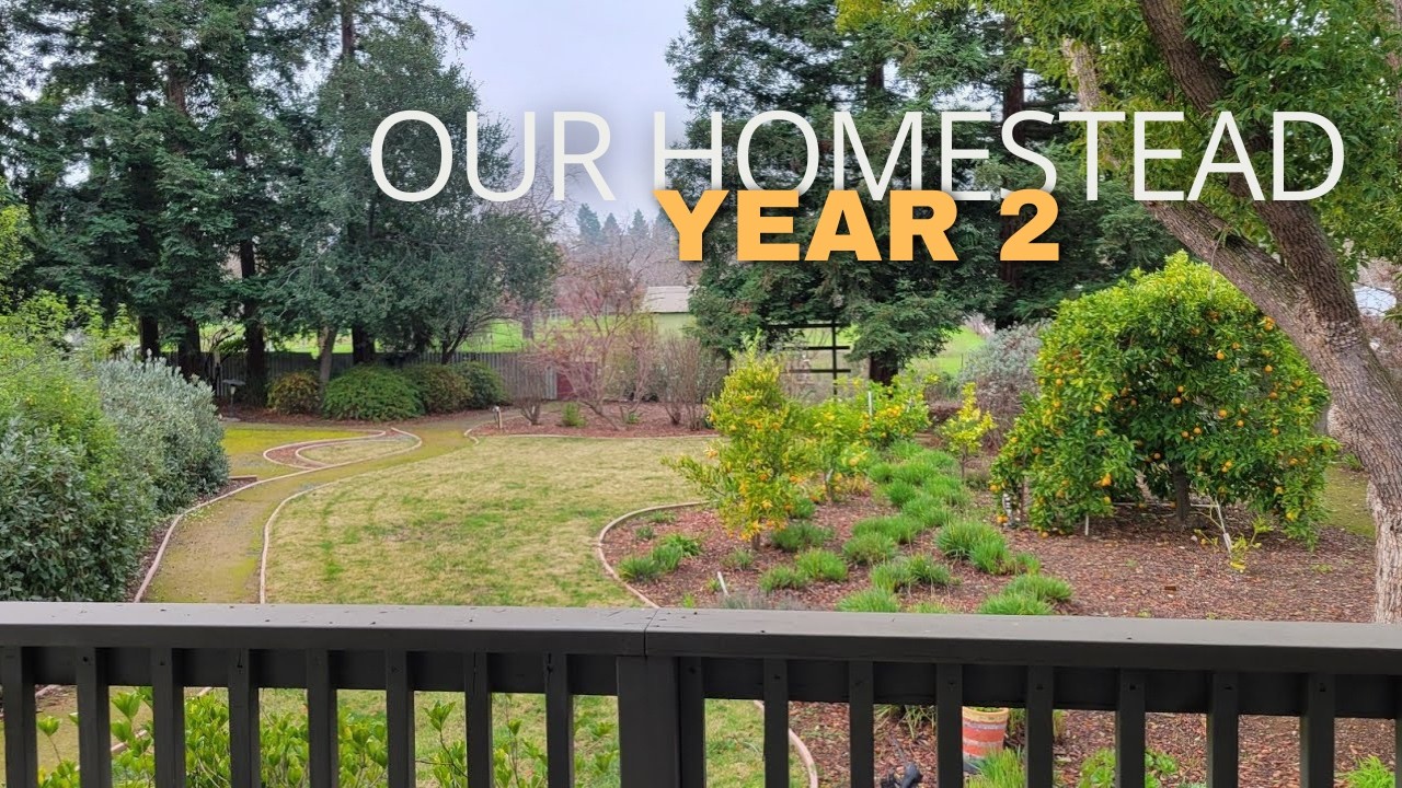 Full Homestead Tour | Our 1-Acre California Property | 2025