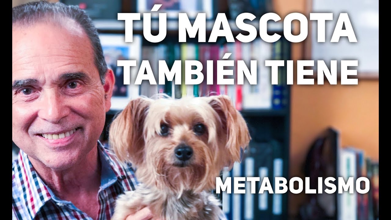 Episodio #1231 Tu Mascota También Tiene Metabolismo