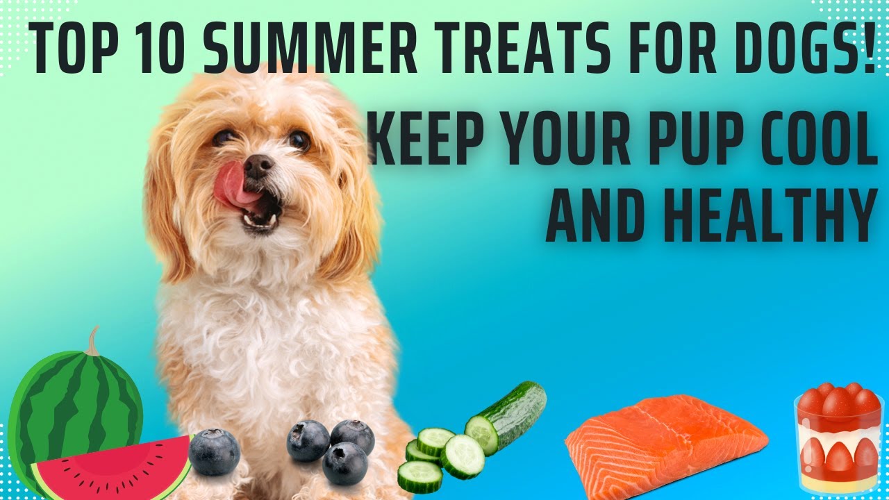 Dog Treats HomeMade :Top 10 Summer Treats for Dogs! Keep Your Dog Cool & Healthy