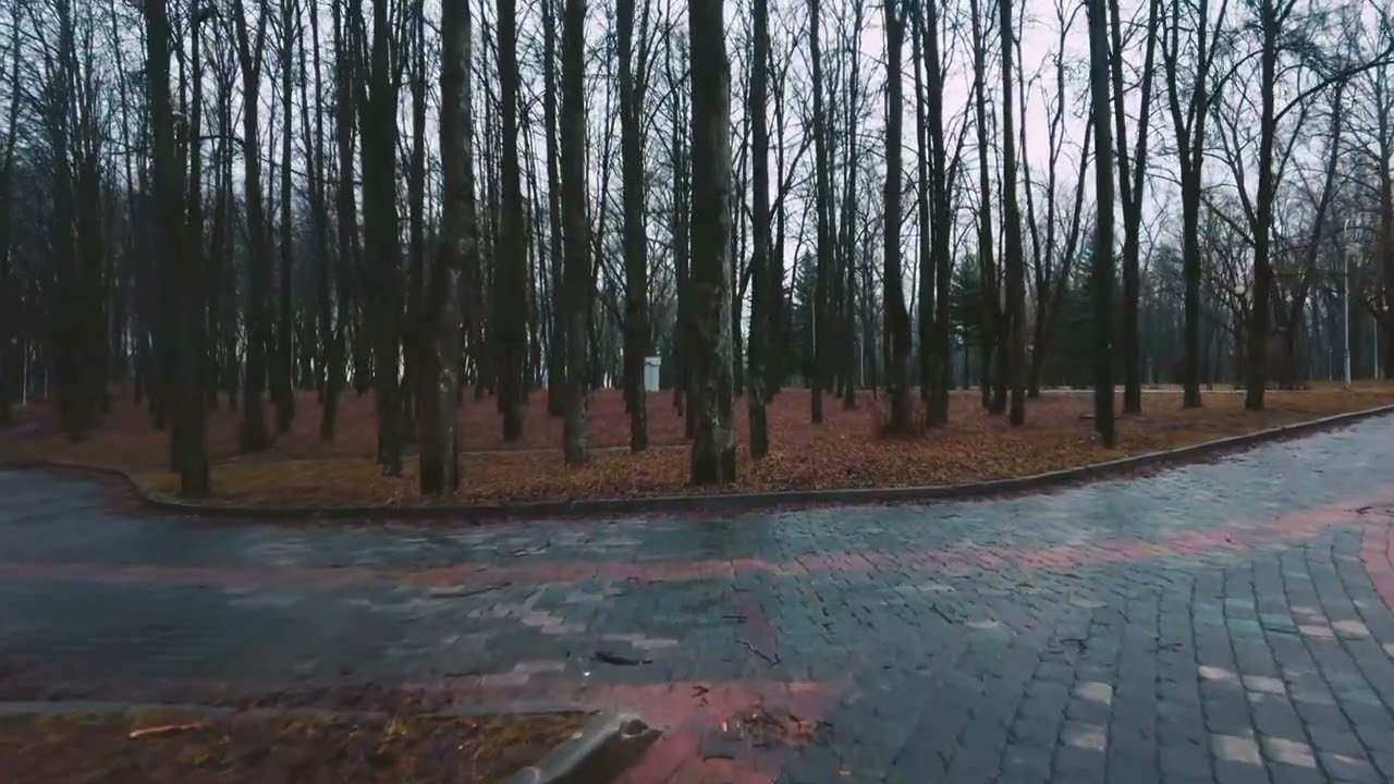 Walk in the rain and birdsong in Minsk. (Binaural City Sounds) 4k Rain Ambience