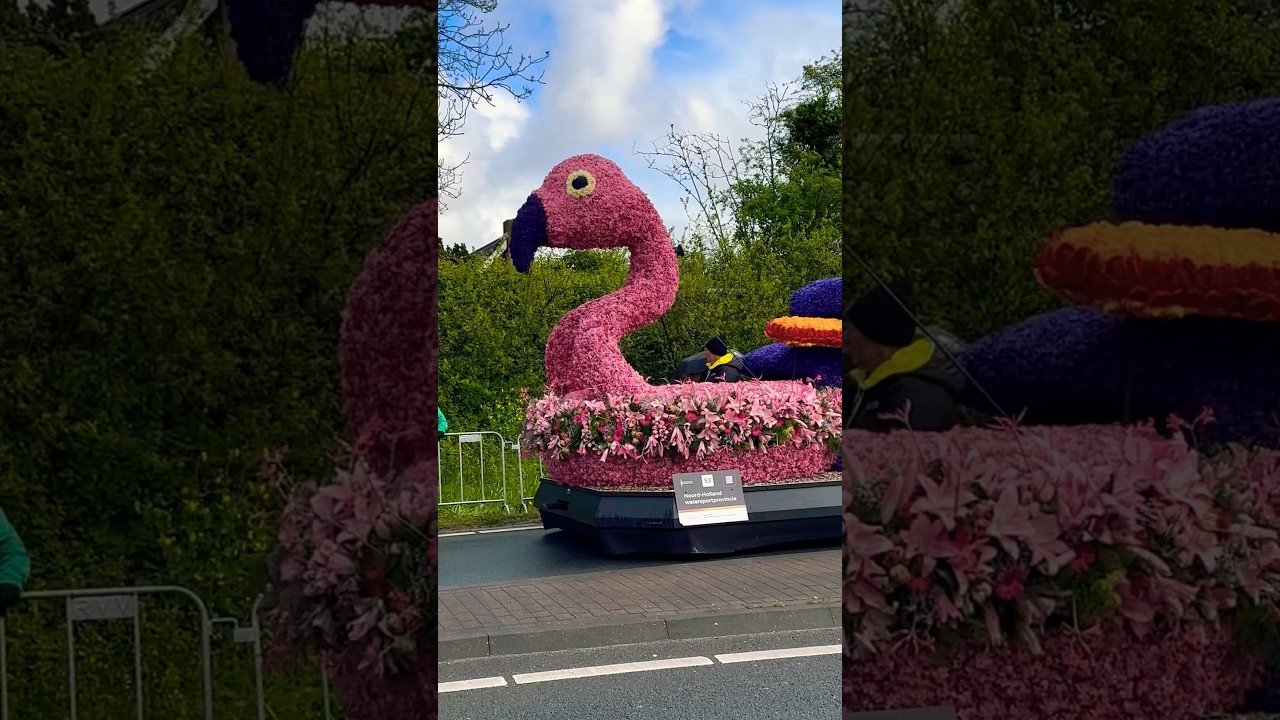 #flamingo #blumenkorso #keukenhof  #keukenhofgardens #fr&uuml;hling #amsterdam #blumen #tulpen