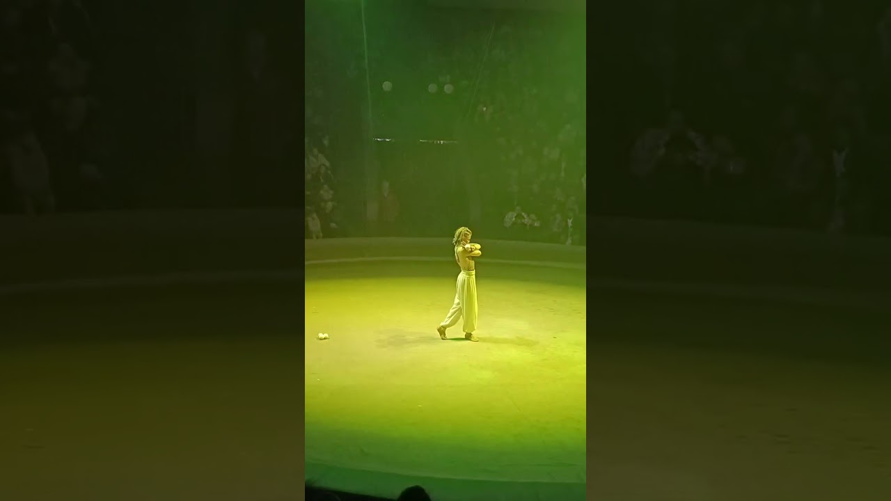 Circus Juggler Performance | Professional Juggling Show#circus#juggler#viralvideo 