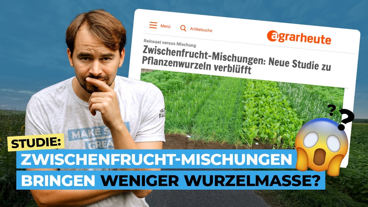 Studie: Zwischenfrucht Mischungen bringen weniger Wurzelmasse?