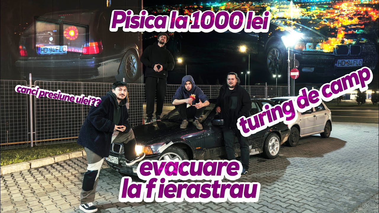 Pisica Touring cu 1000 de lei fara fiscal si fara talon
