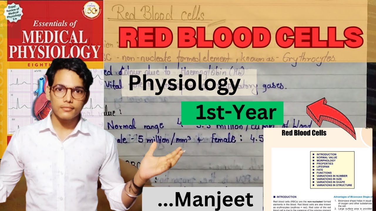 Red blood cells Physiology | RBC physiology | Erythrocytes | Haemoglobin | 1st Year | Manjeet