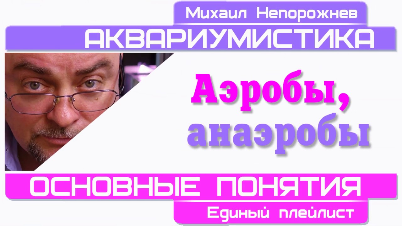 #Аквариумистика. Основные понятия. Аэробы, Анаэробы. #shorts