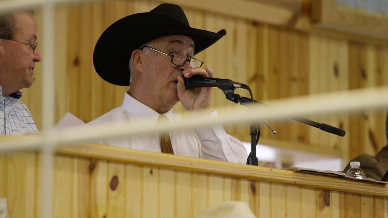 44 Farms - Cattle Auction