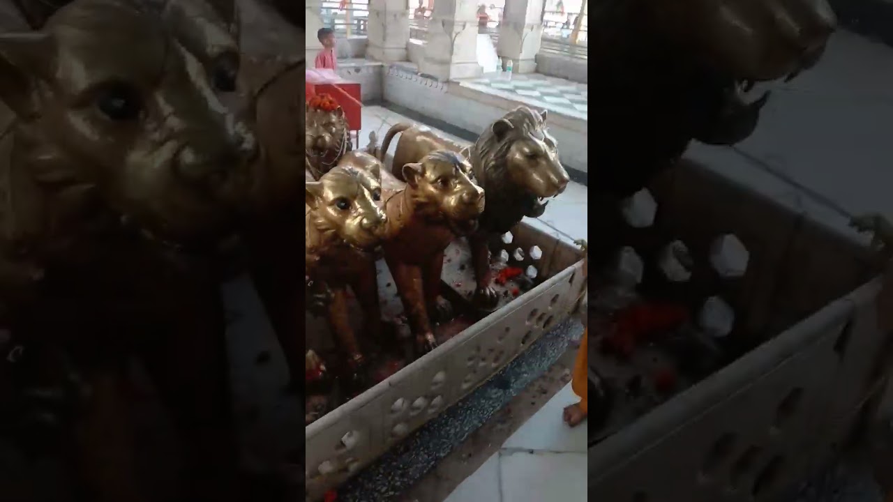brajeshwari Devi Kangra Himachal Pradesh