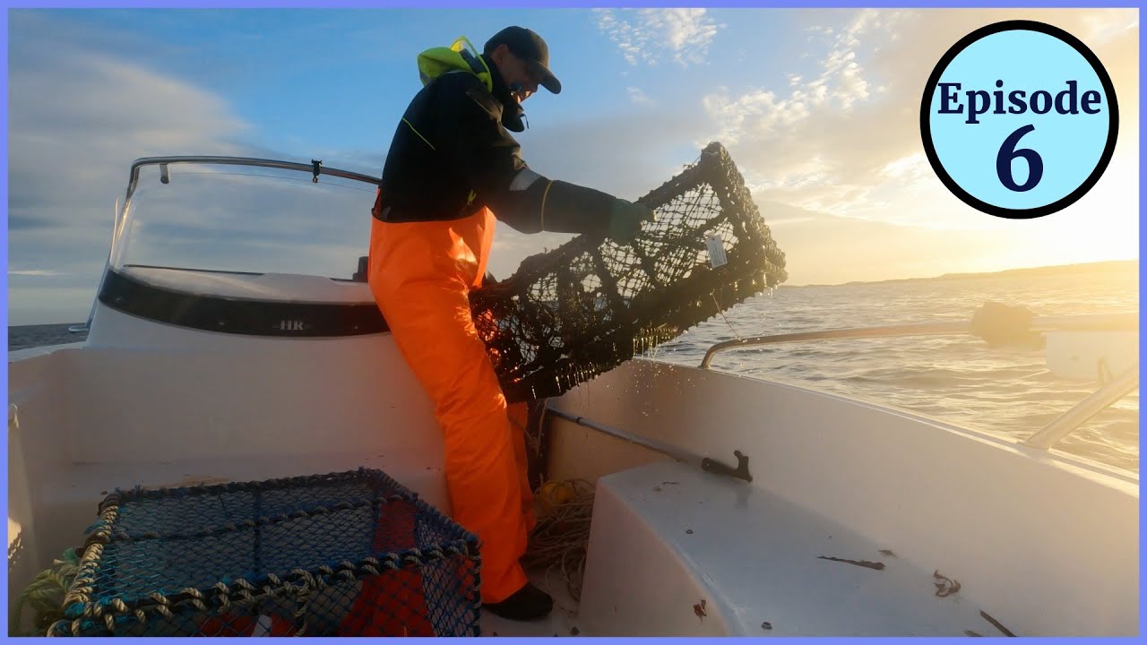 Hummerfiske 2025 Lobsterseason in Norway outside Kristiansand