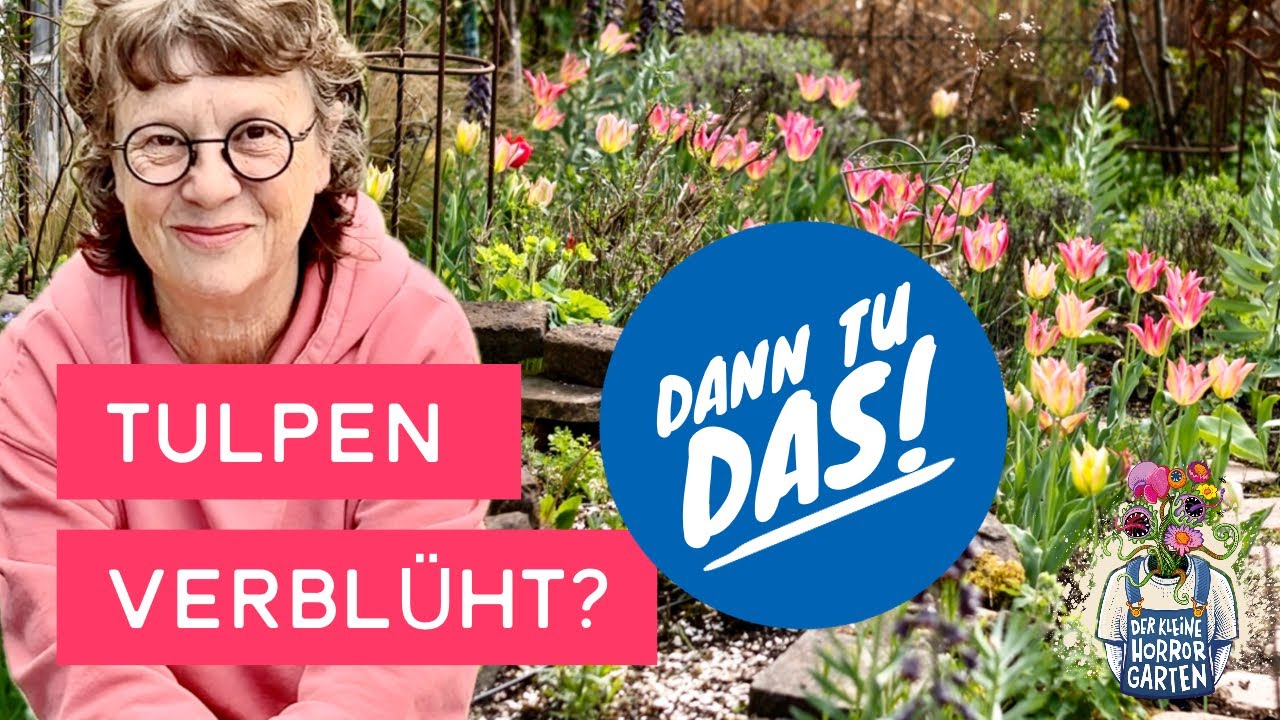 So bringst du deine Tulpen jedes Jahr zum Bl&uuml;hen! Der kleine Horrorgarten