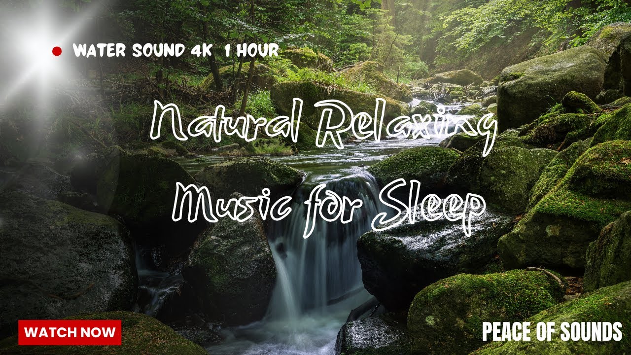 1H Forest stream water sounds with bird singing for sleeping, Stress Relief Music Calm Music