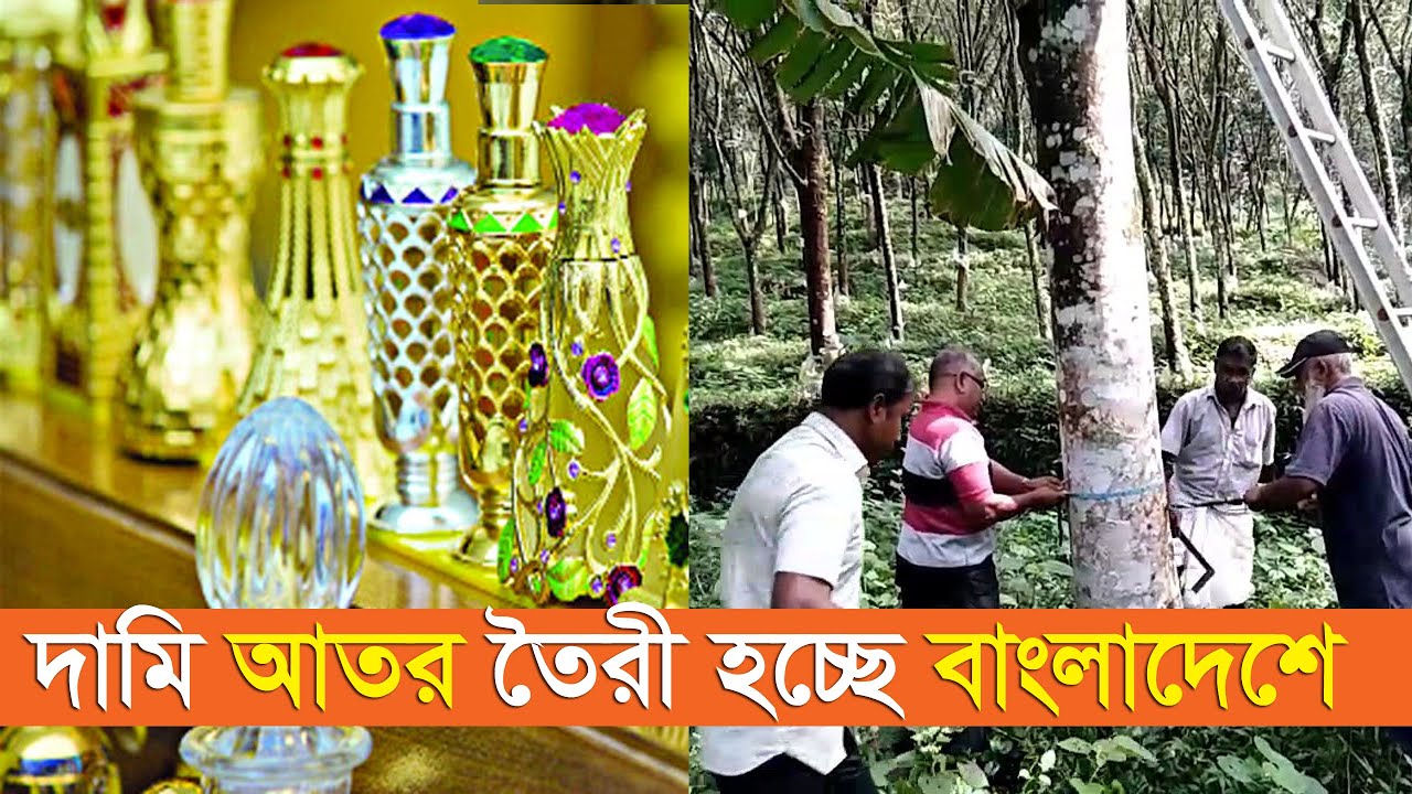 আগর গাছ থেকে 