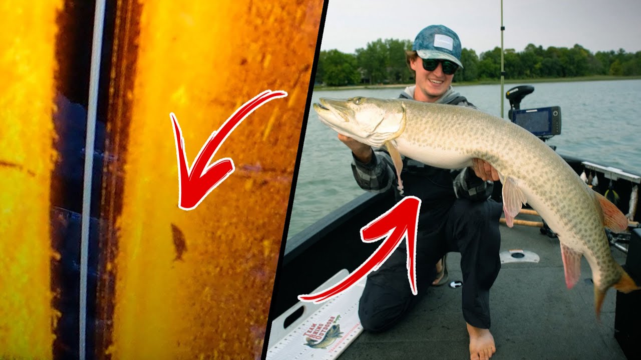 Using Side Scan to Catch BIG MUSKY!