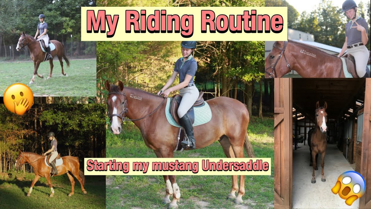 My Riding Routine | Starting My Mustang Under-Saddle