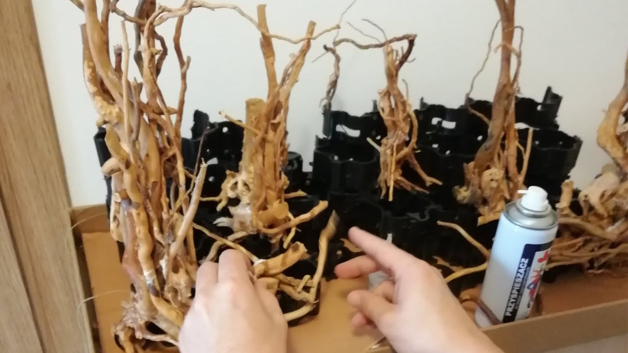 79. Korzenie do Aquascapingu | GoPro Hero | Red Moor Wood | 1 z 4