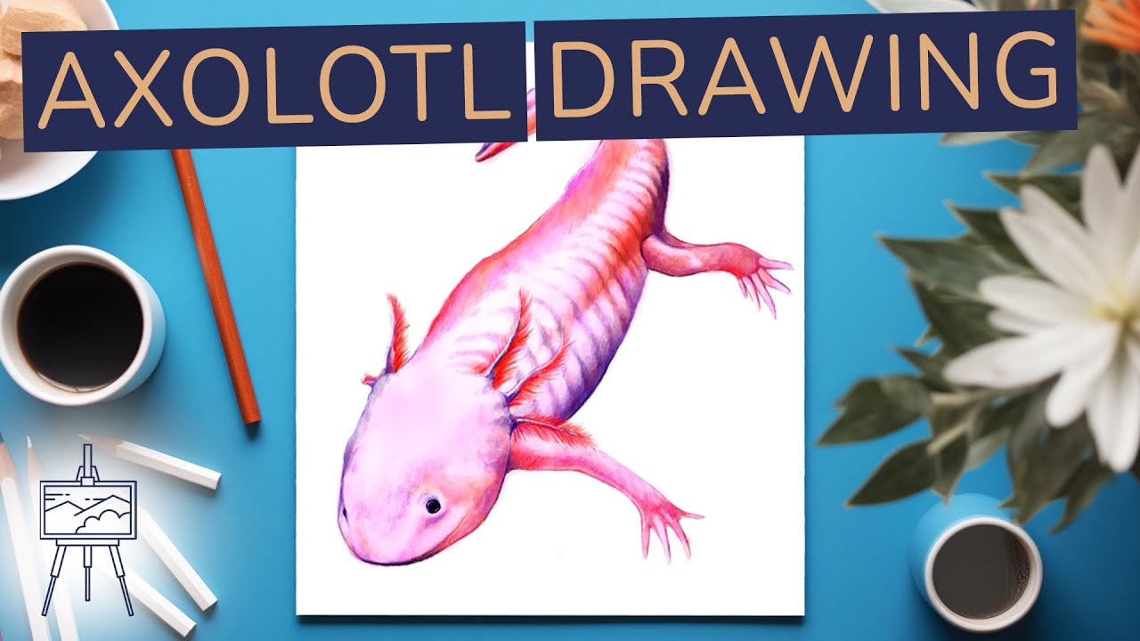 How to Draw an Axolotl - Easy #drawingtutorial