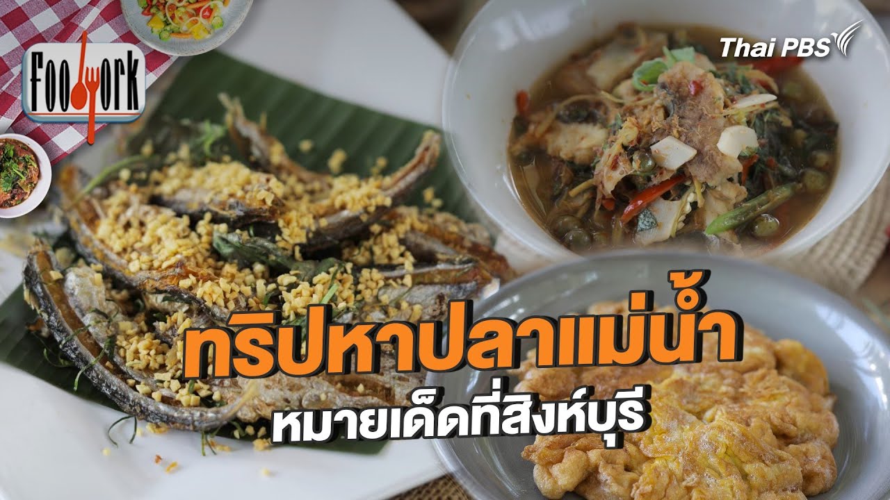 ทริปหาปลาแม่น้ำ หมายเด็ดที่สิงห์บุรี | Foodwork [CC]
