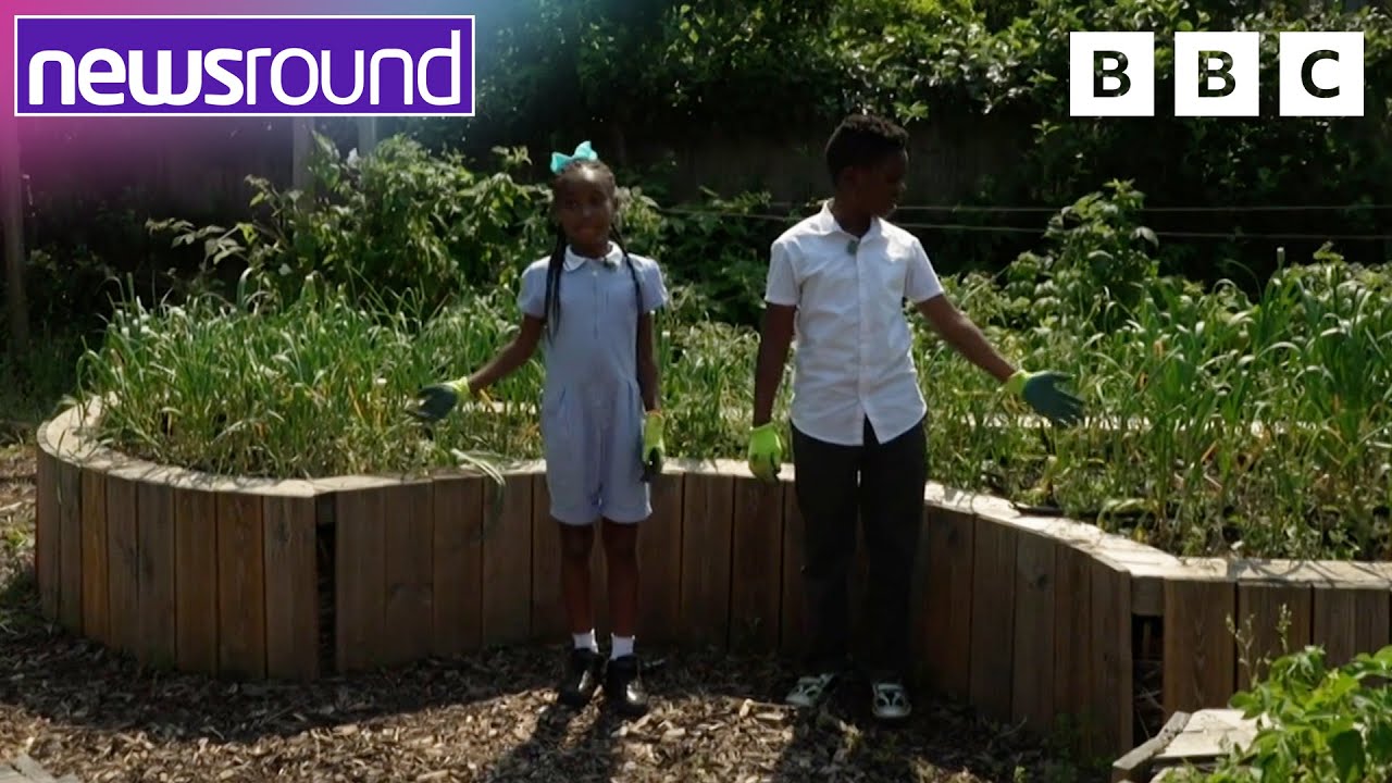 School's secret garden helps feed the community | Newsround