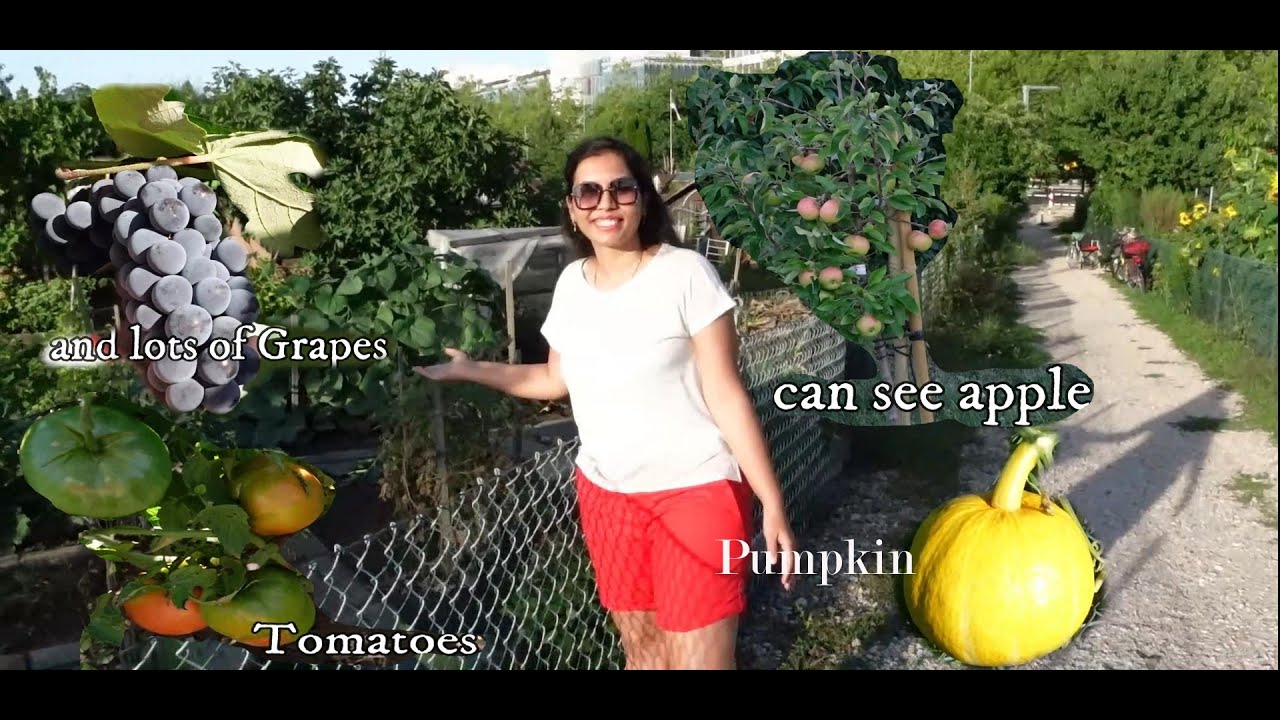 Farming in Switzerland | fruits and vegetables | In which season people do farming & how ? Gardening