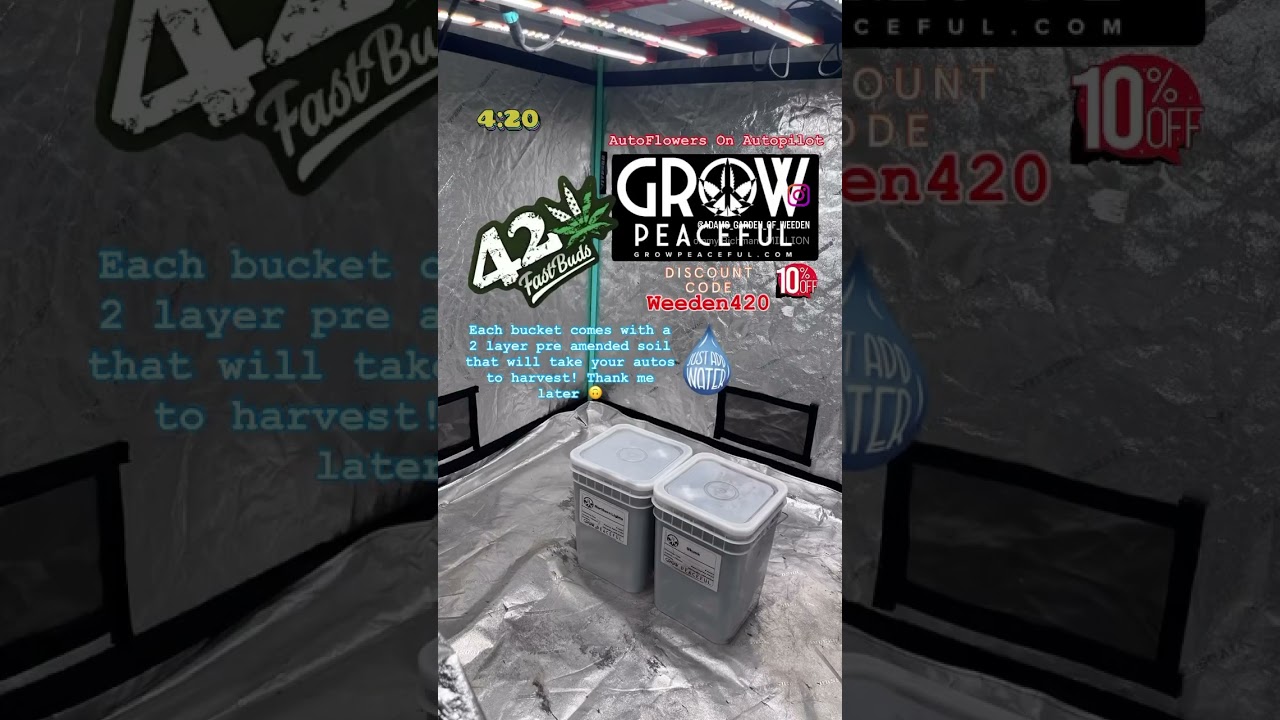 How to grow your own indoor weed 5x5 tent #spiderfarmer | Grow Peacful SE-3000 @growpeaceful420