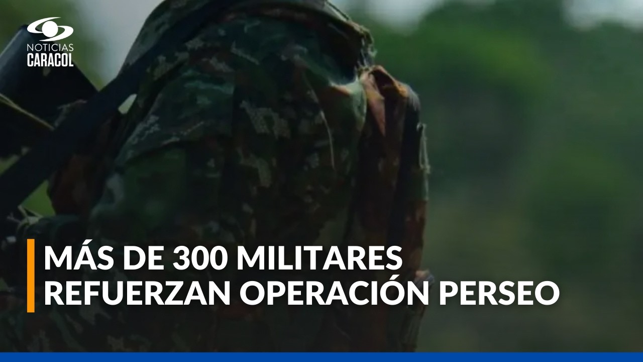 Ejército ingresa al cañón del Micay para cerrar corredores de disidencias de Iván Mordisco