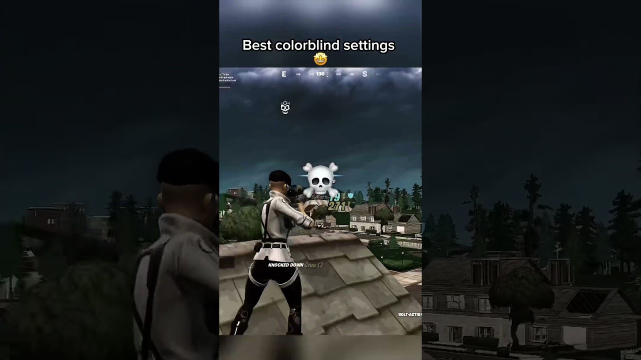 Best Colorblind Settings! 🤩