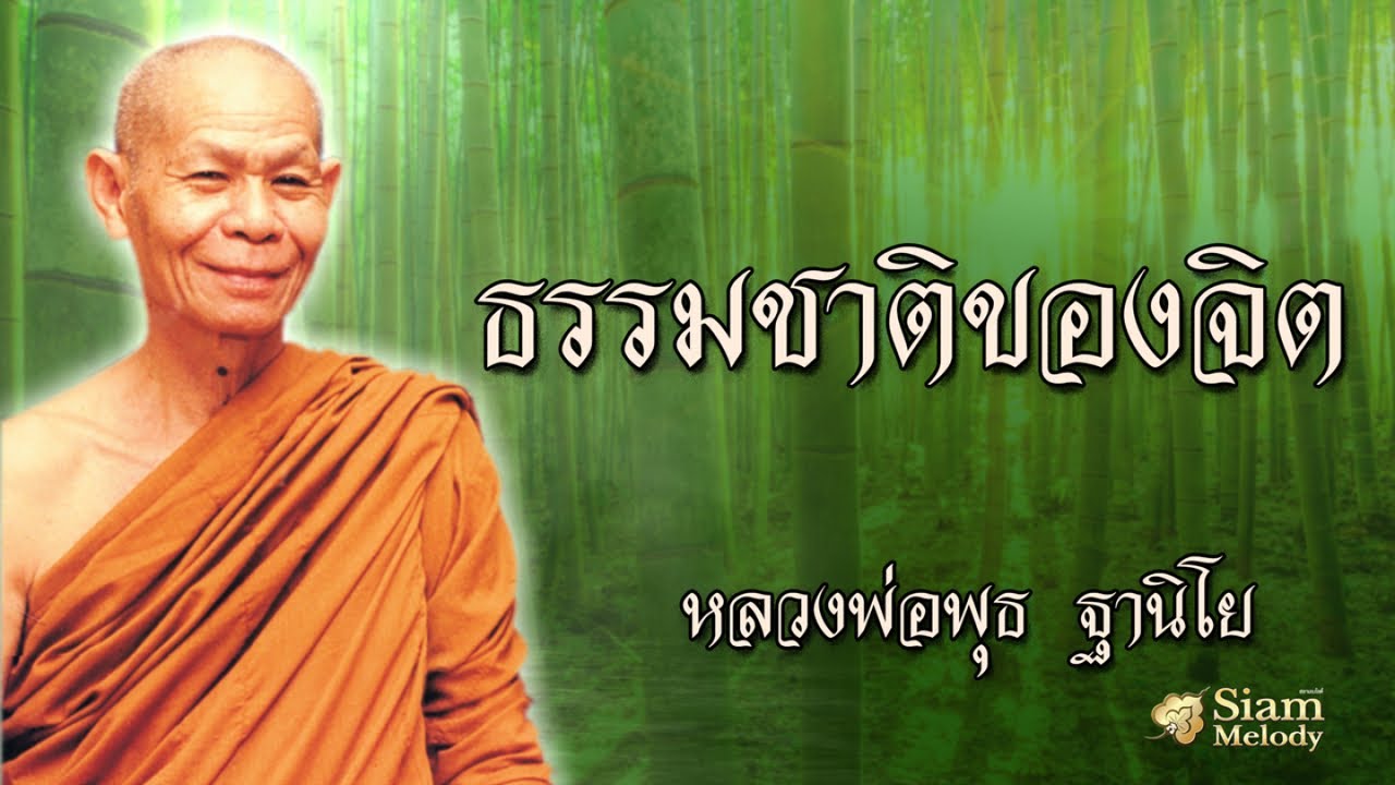 ธรรมชาติของจิต หลวงพ่อพุธ ฐานิโย วัดป่าสาลวัน นครราชสีมา (ไม่มีโฆษณาคั่น)