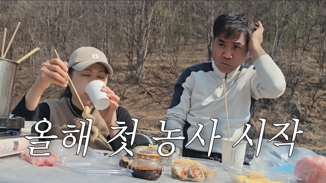 진짜 맛있는 감자 드시고 싶은 분! 감자 농사 시작~ 어머니께 감자 옹심이 감자전 해드리기 :)