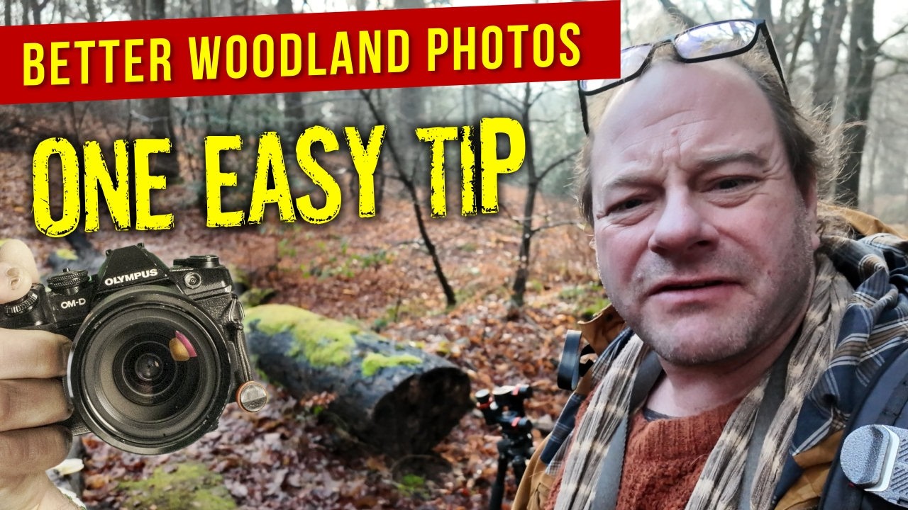 Stop doing this obvious thing to get better woodland photos