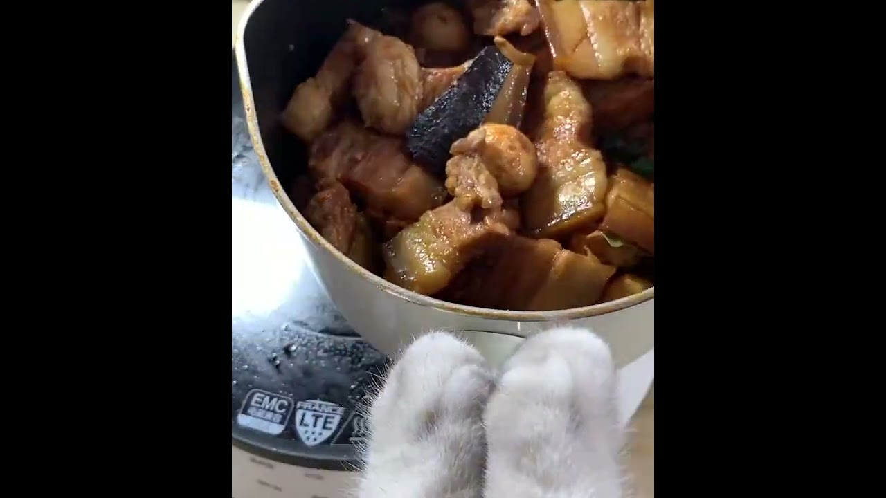 Nấu Ăn Ngon 