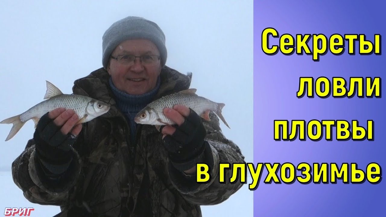 Секреты ловли плотвы в глухозимье