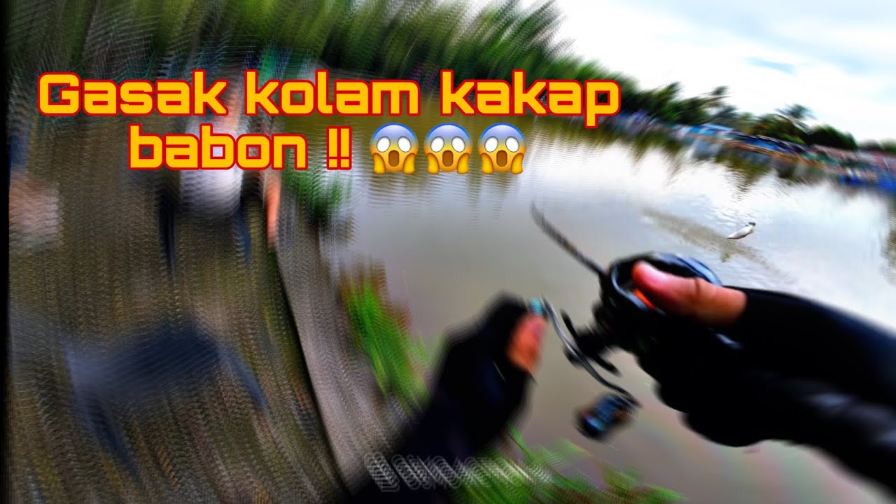 MEMBURU KAKAP / SIAKAP PUTIH DENGAN CARA CASTING DI KOLAM AIR MASIN