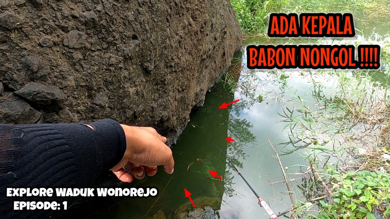 EXPLORASI WADUK WONOREJO DIMULAI ‼️LANGSUNG KETEMU SARANG BABON | mancing ikan red devil NAHOL MANIA