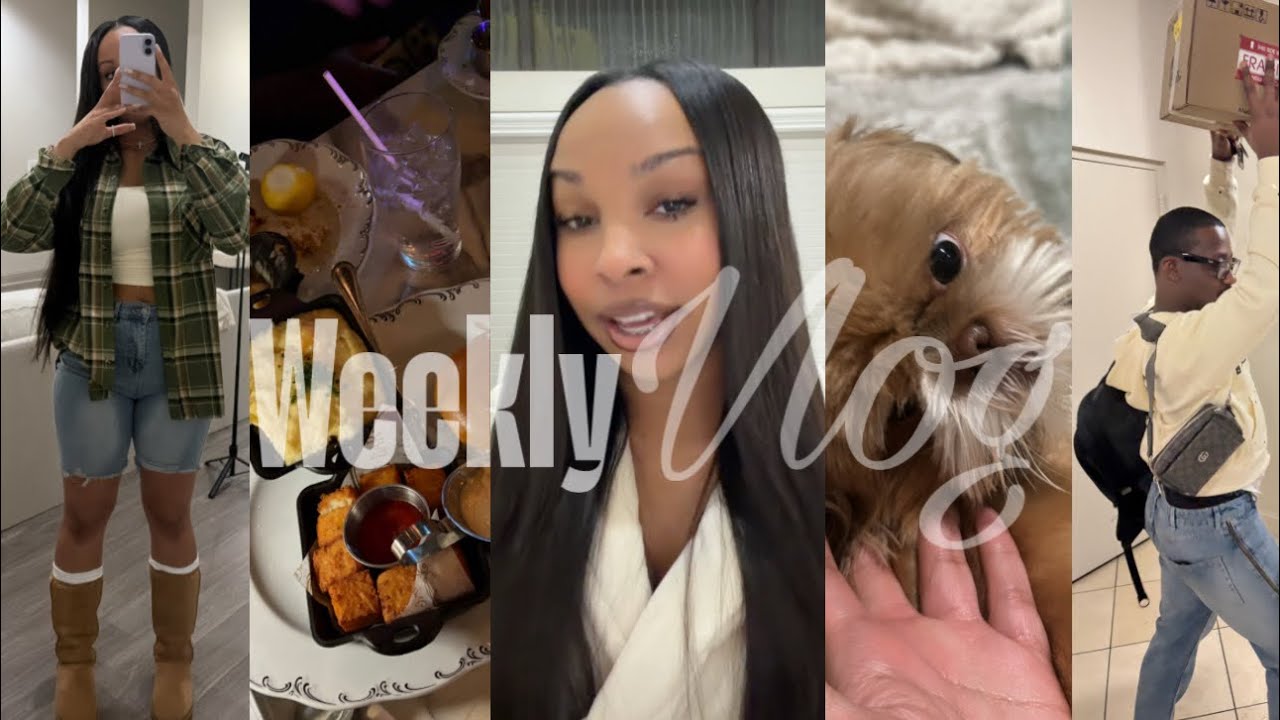 vlog! spend valentines day w me.. solo concerts + dinner dates w friends + papa got groomed & more!