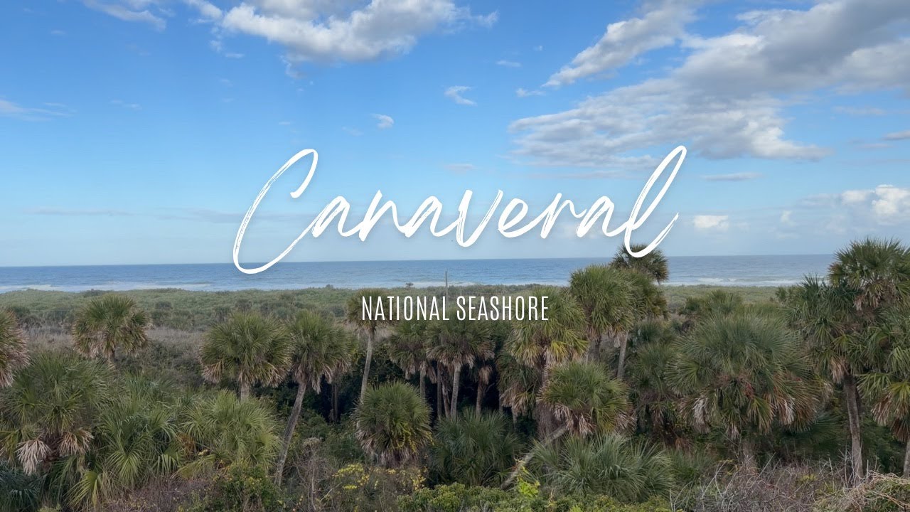 Junior Ranger 🐢 카나베라 시쇼어 국립공원 방문기 | Visiting Canaveral Seashore National Seashore
