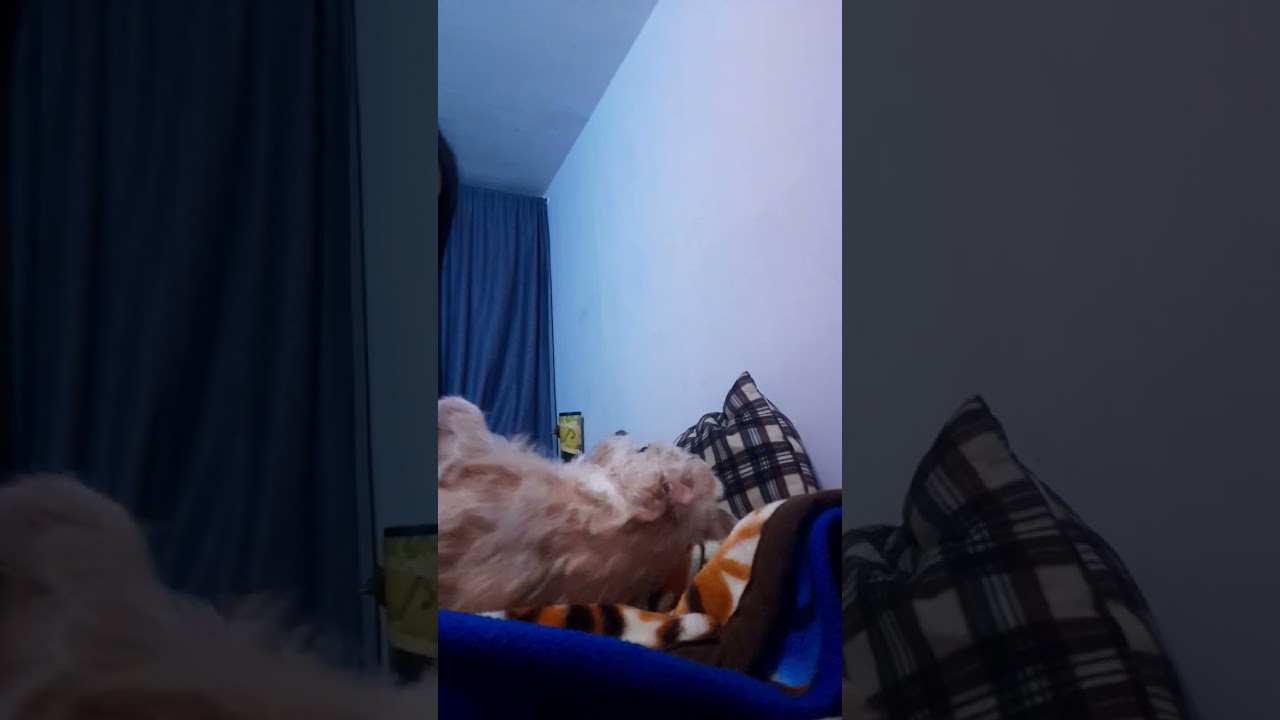 #sleeptime