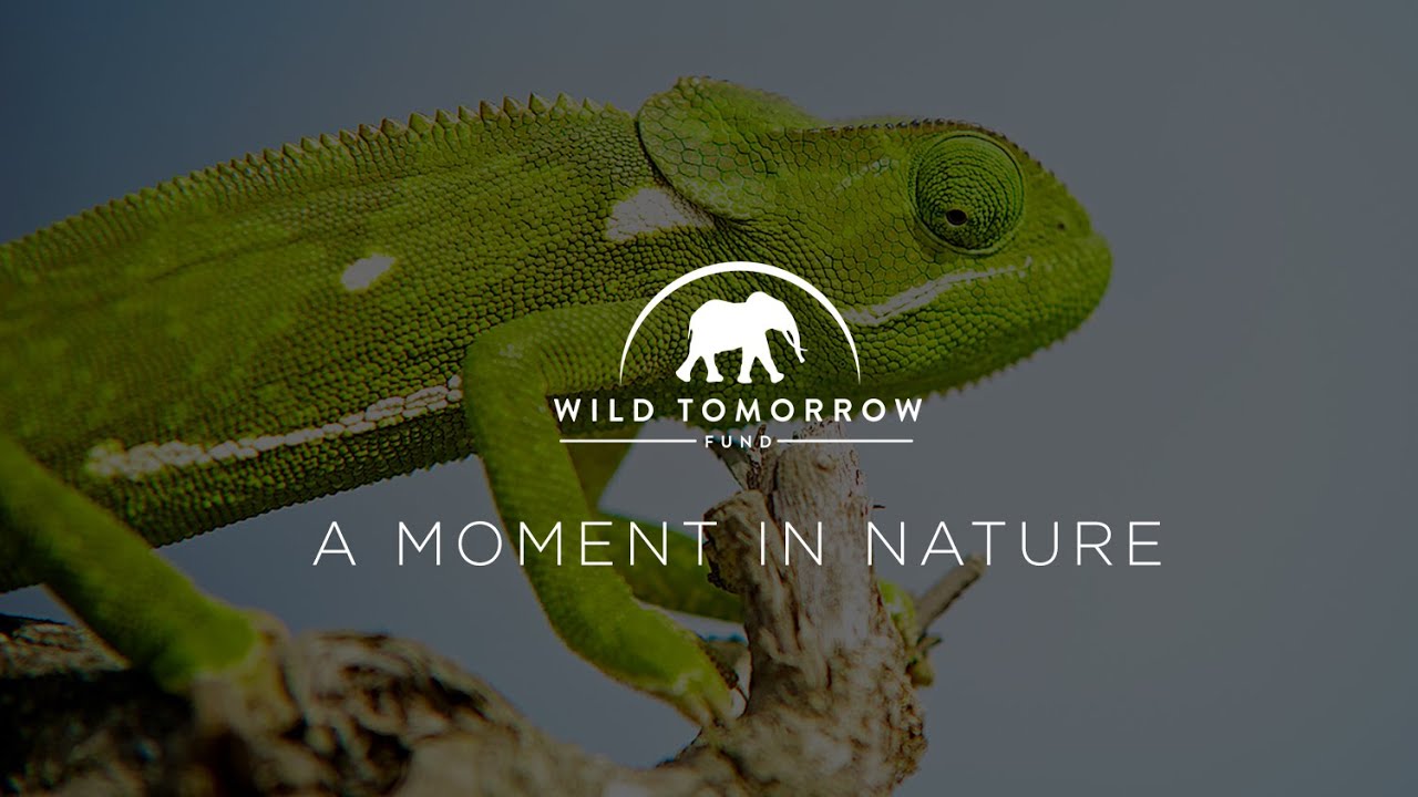 Moments in Nature - with Barbara Wright