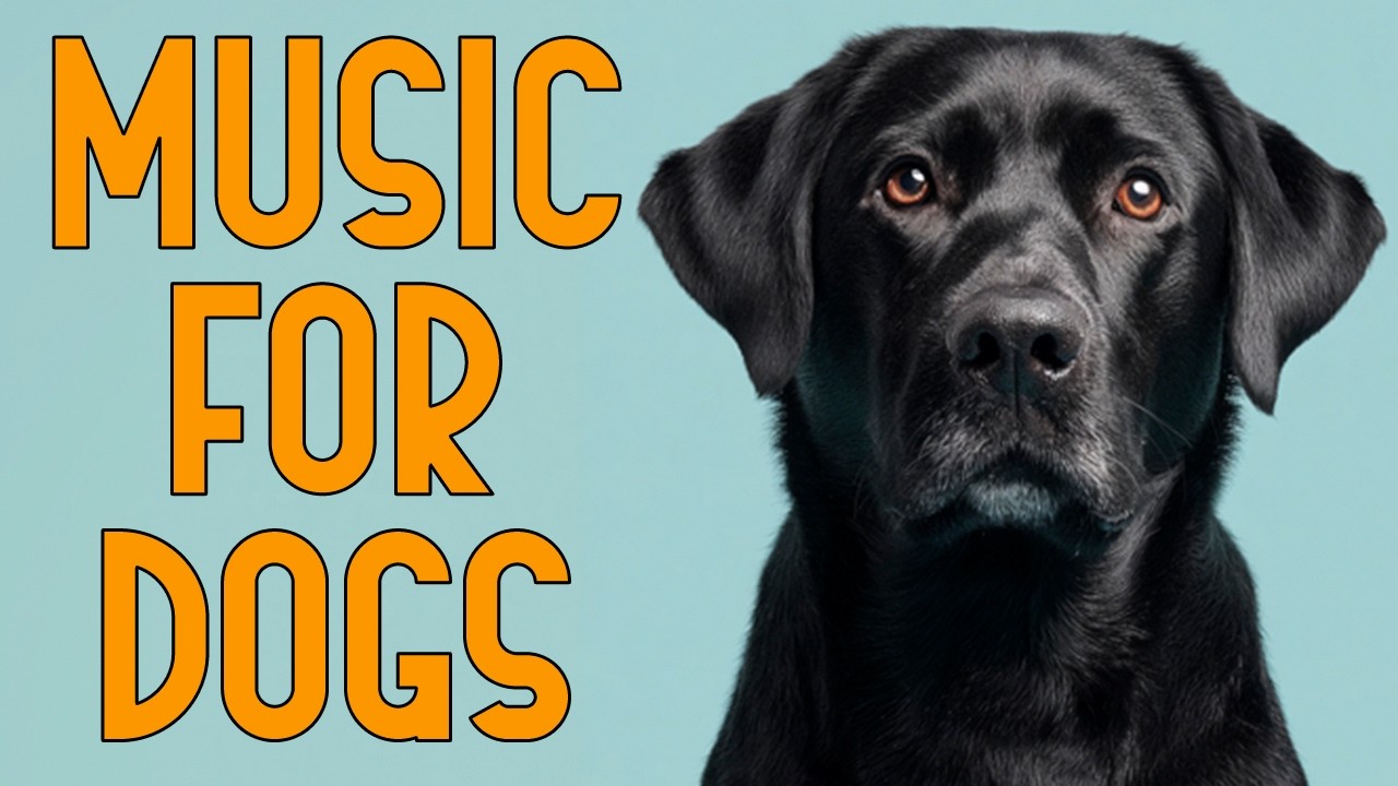2 HOURS of Dog Relaxing Music 💖🦮 Peaceful Music to Help Dogs Stay Calm