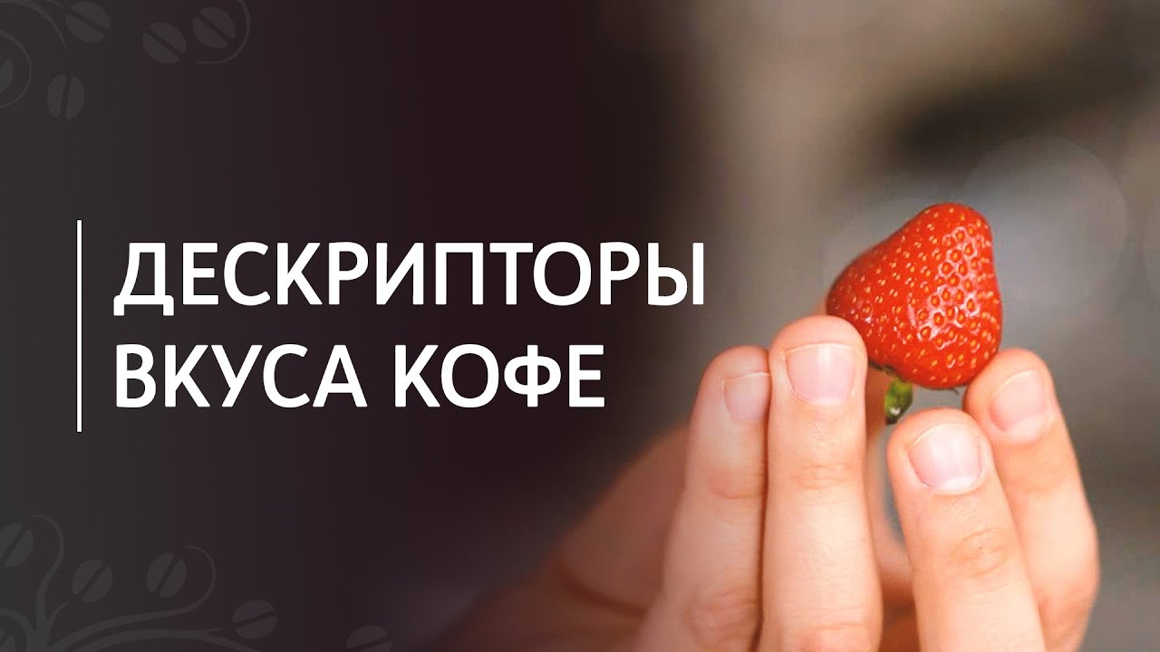 Кофейные дескрипторы: как находить и описывать вкусы в кофе