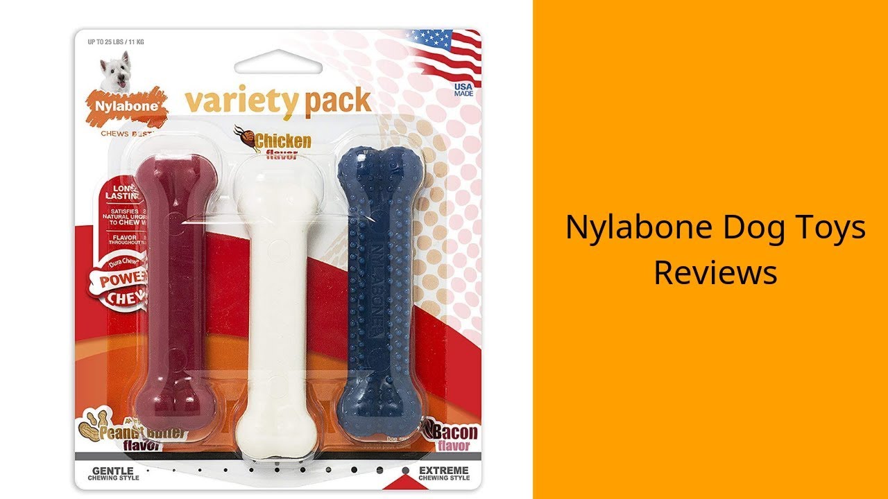 Top Nylabone Dog Toys To Purchase 2019 - Nylabone Dog Toys Reviews