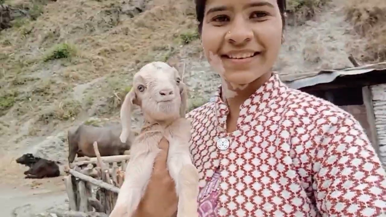 आज मेरा यहां पहल दिन था और काफी अच्छा रहा आज का दिन।😊