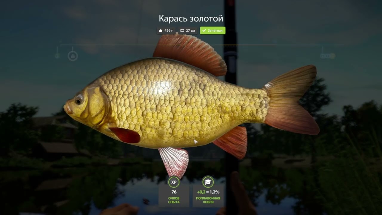 Russian Fishing 4 поймал много карасей!