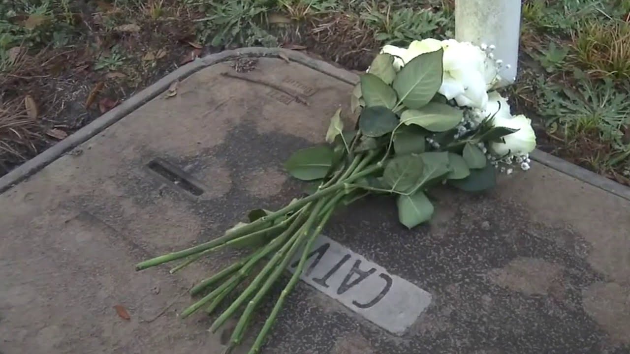 Patriot Oaks Academy brings in counselors as community mourns 12-year-old student killed in crash