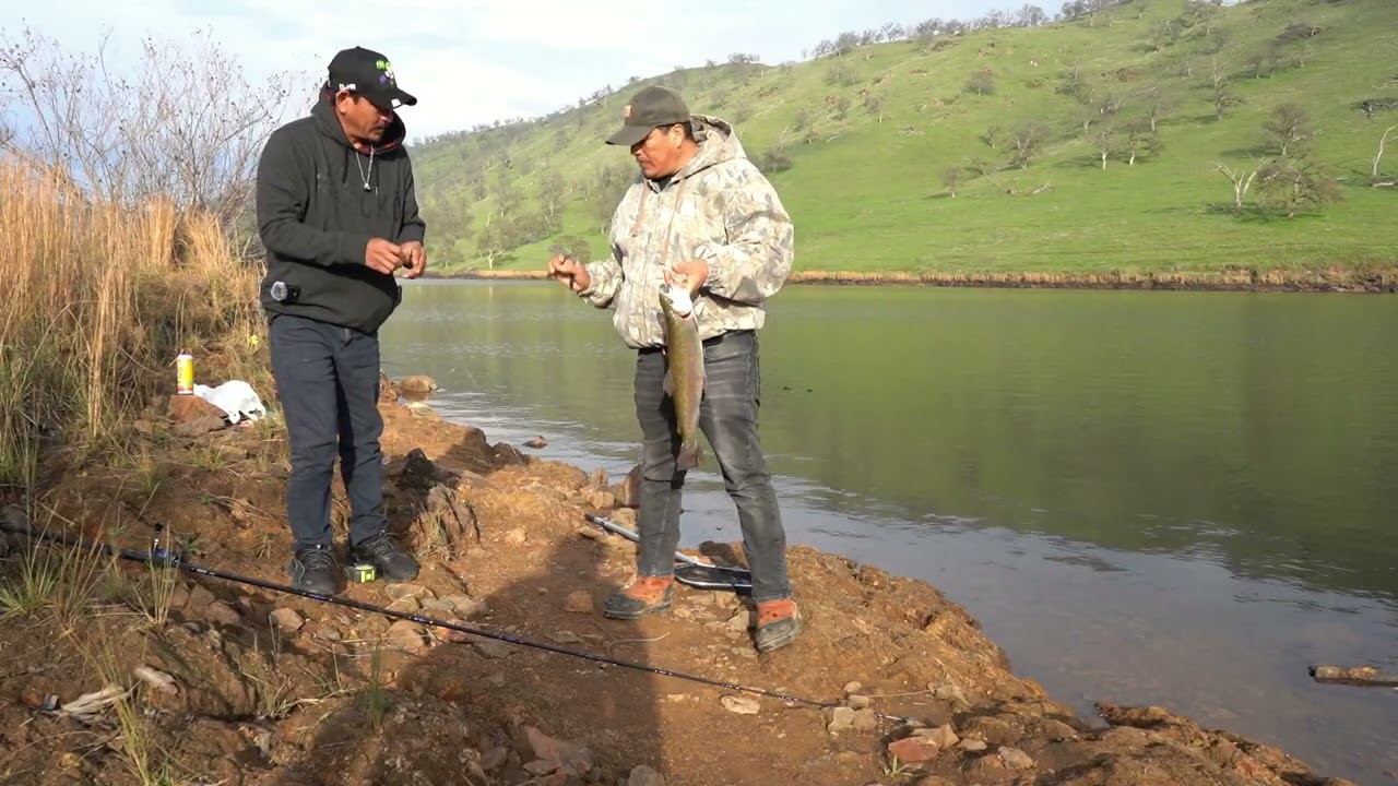 Vamanos de pesca