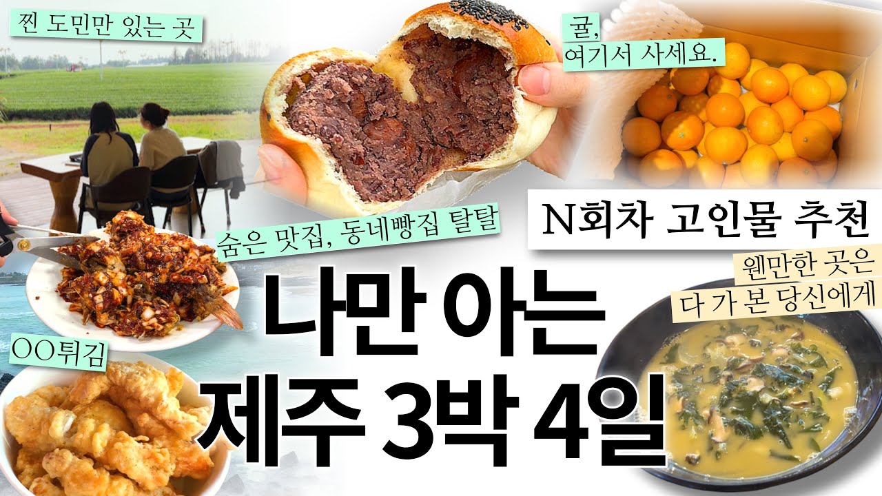 [vlog] 제주 N회차 고인물 추천 🌴 3박 4일 | 숨은 맛집, 빵집, 카페, 갈 곳 (도민 추천!) | 안 흔한 여행 코스