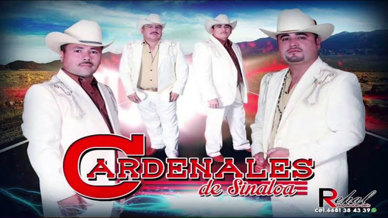 Botoncito Flor De Dalia- Los Cardenales De Sinaloa