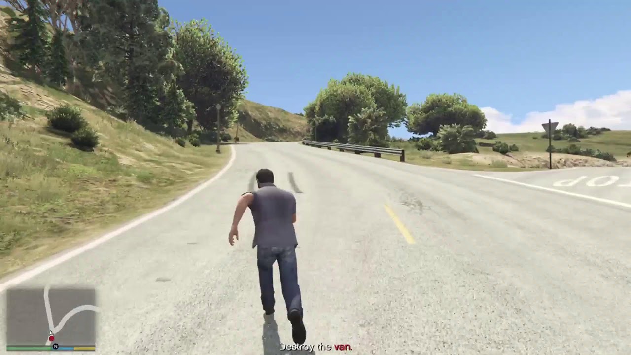 Gta 5 flw